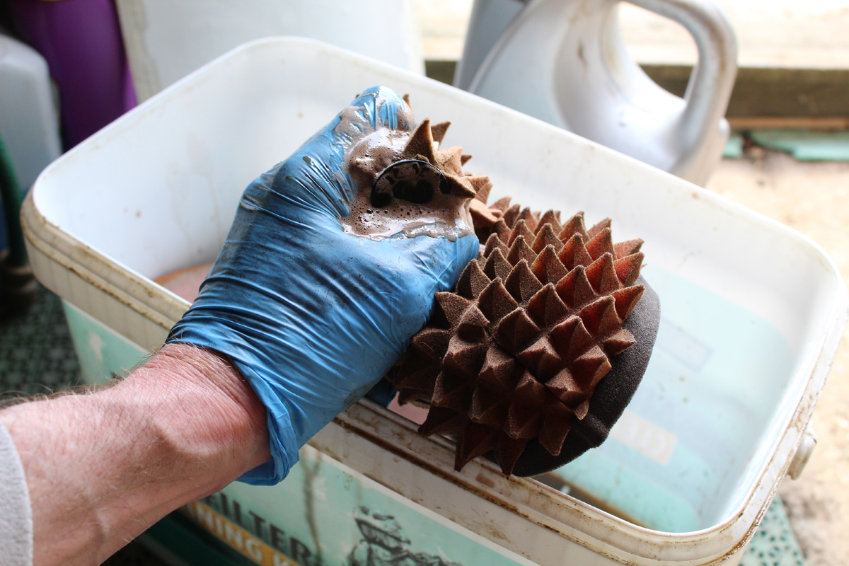 Funnel_Web_cleaning_560