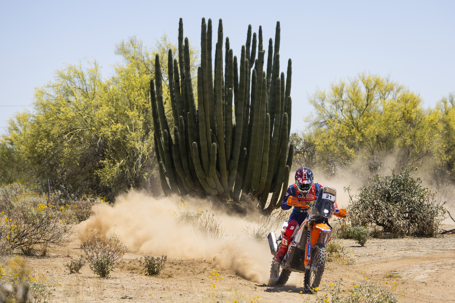 2023 Sonora Rally: Bradley Cox shines in W2RC round 3 prologue ahead of Toby Price