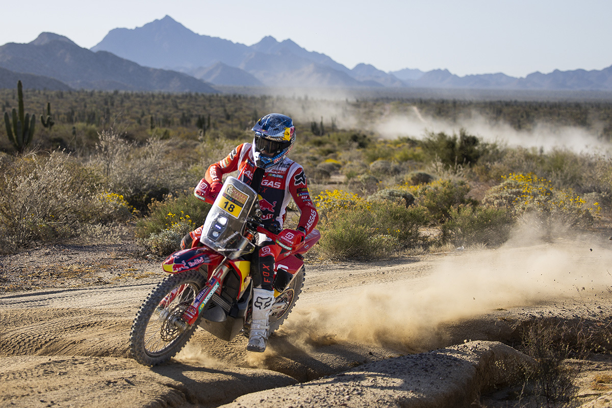 2023 Sonora Rally results: No stopping Daniel Sanders on stage two, not even snakes