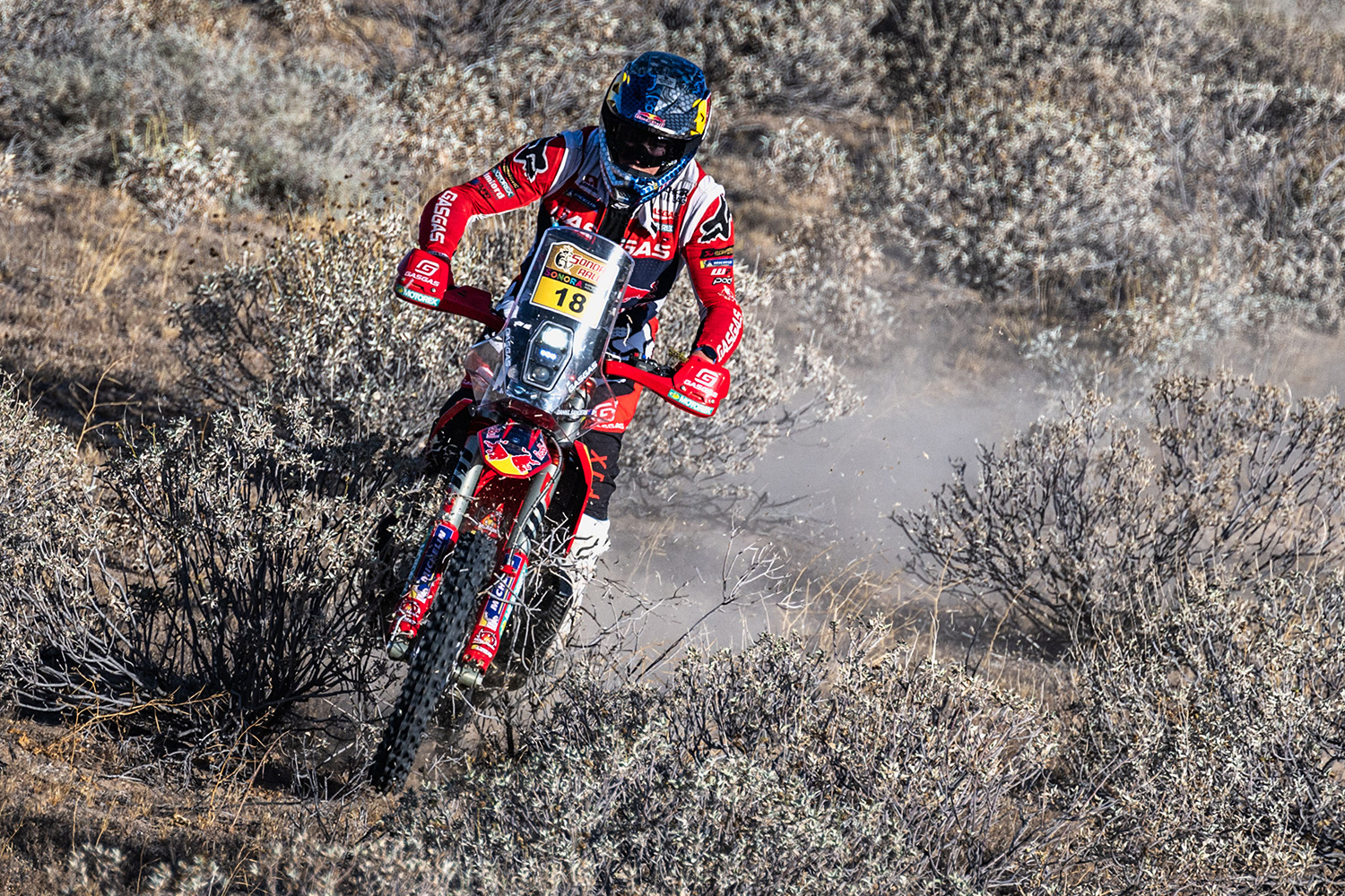 Sonora Rally results: Daniel Sanders extends race lead with stage 3 win